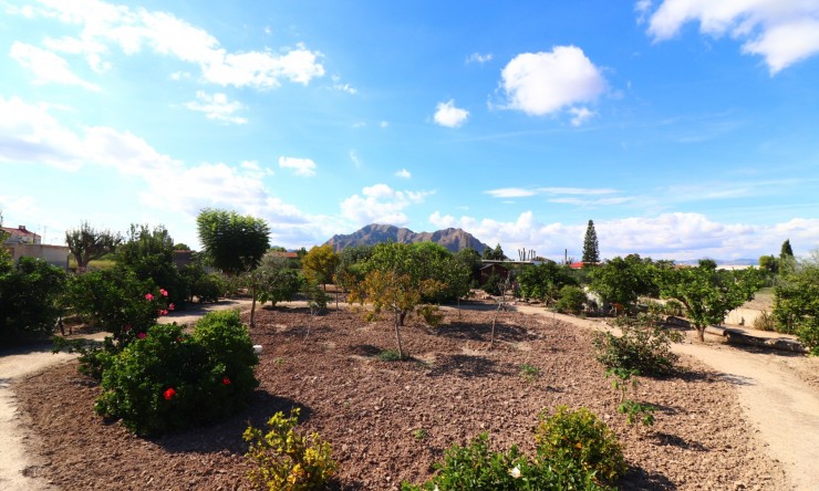 Reventa - Casa de Campo - Rafal - El Mudamiento