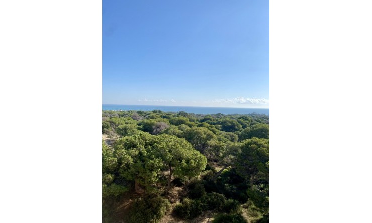 New - Apartment - Guardamar del Segura - Guardamar del Segura - Town