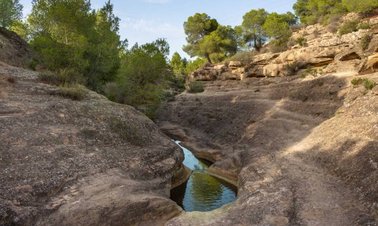 Re-Sale - Bungalow - Algorfa - La Finca Golf Resort