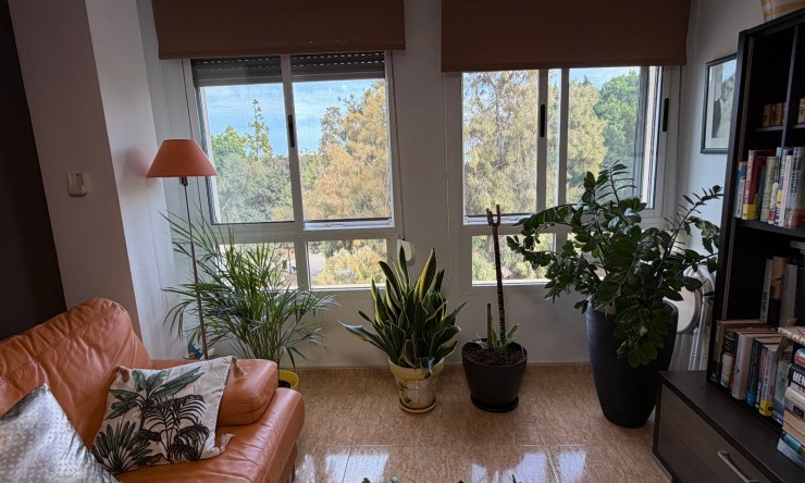 Re-Sale - Apartment - Pilar de La Horadada - Pilar de La Horadada - Town