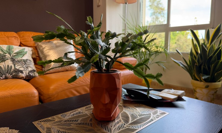 Re-Sale - Apartment - Pilar de La Horadada - Pilar de La Horadada - Town