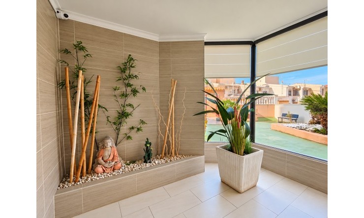 Wederverkoop - Appartement - Torrevieja - La Mata - Stad
