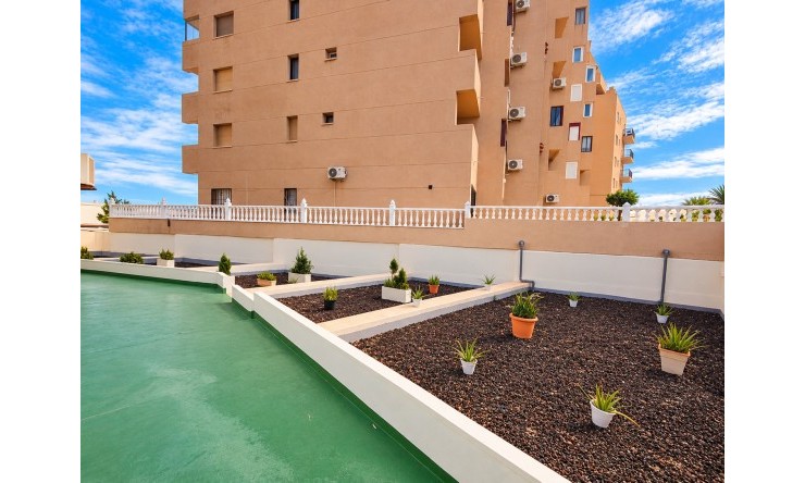 Wederverkoop - Appartement - Torrevieja - La Mata - Stad