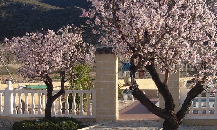 Re-Sale - Country Property - Hondon - Hondon de Los Frailes