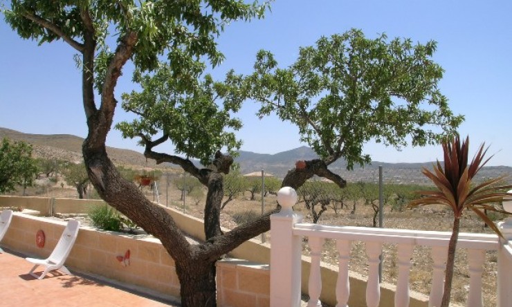 Re-Sale - Country Property - Hondon - Hondon de Los Frailes