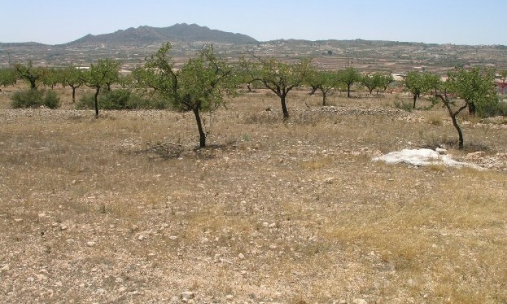 Re-Sale - Country Property - Hondon - Hondon de Los Frailes