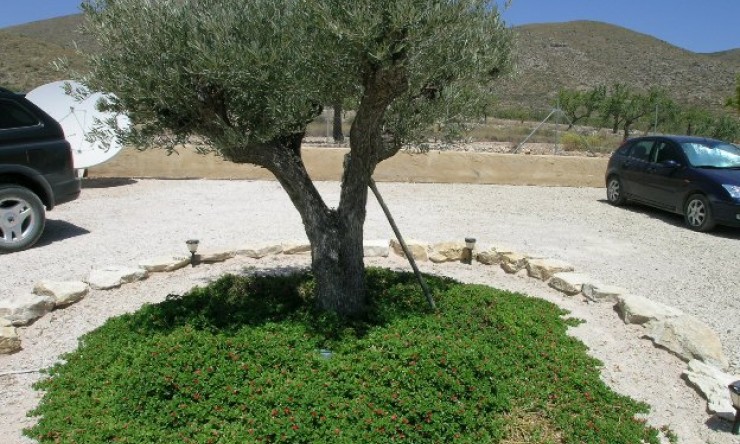 Re-Sale - Country Property - Hondon - Hondon de Los Frailes
