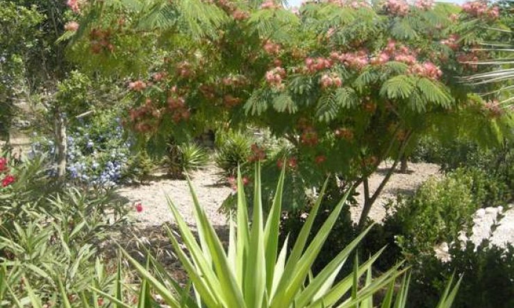 Re-Sale - Country Property - Rafal - El Mudamiento